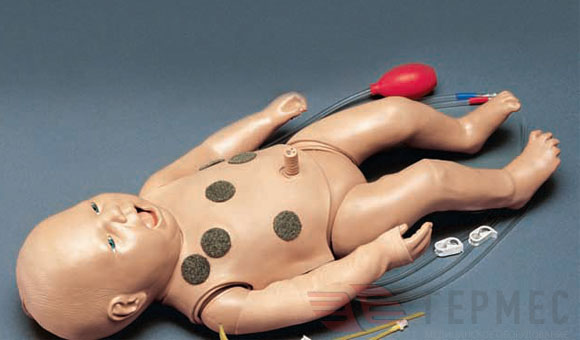 Виртуальный манекен новорожденного ребенка с  русифицированным программным обеспечением 10795