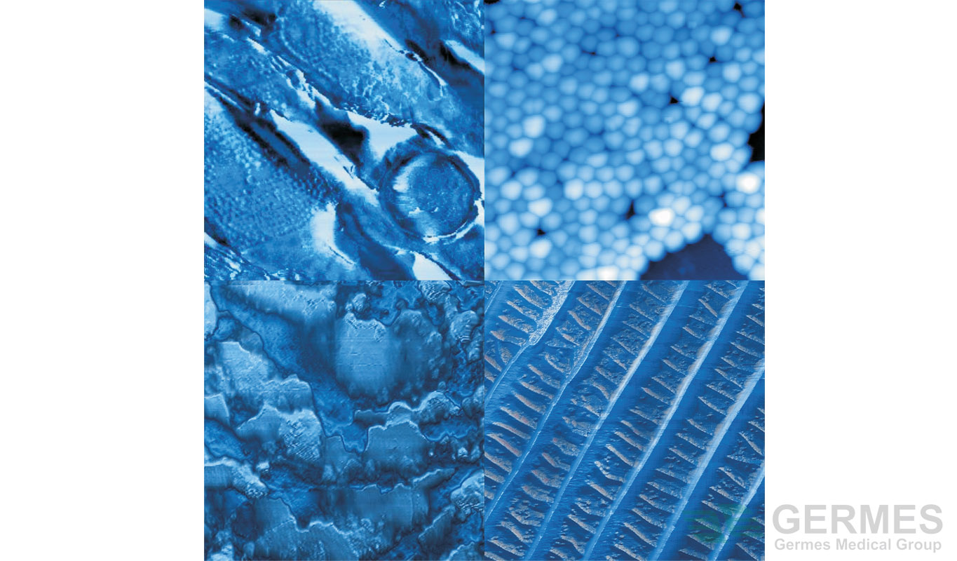 Основные методы изображения микро- и наноструктур с помощью атомно-силовой микроскопии (АСМ) Р2538400