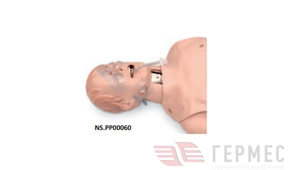 Марк, торс для отработки навыков проведения СЛР и вентиляции при травме NS.PP00060