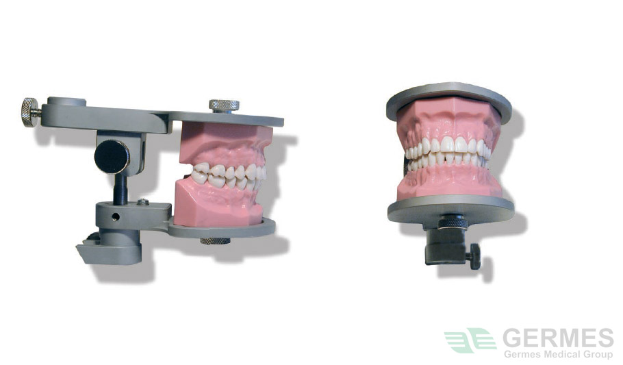 Модель для консервативной практики, содержащая 28 легко устанавливающихся зубов с винтовой фиксацией, с несъемной десной