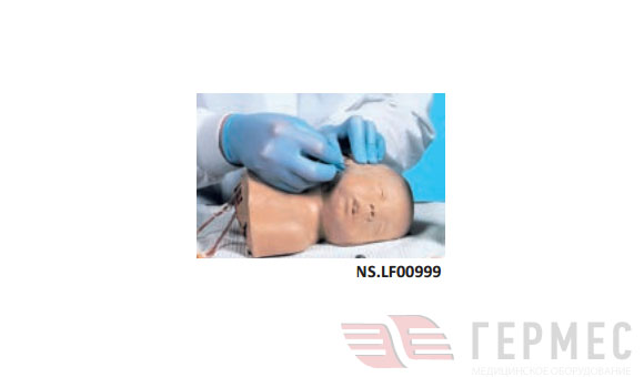Фантом головы младенца для инъекций  NS.LF00999