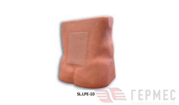 Фантом №1  для отработки люмбальной и эпидуральной пункции SL.LPE-10
