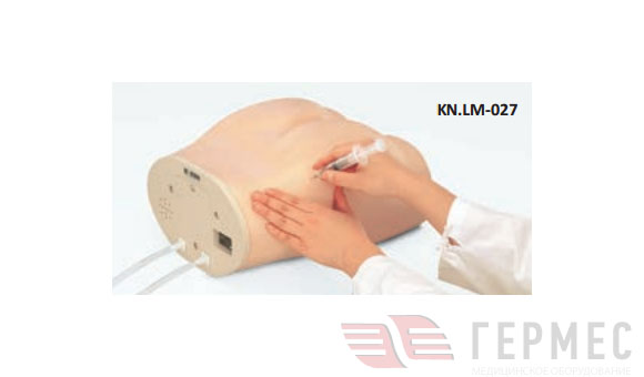 Фантом для отработки внутримышечных инъекций  KN.LM-027