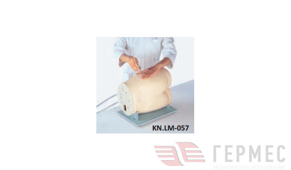 Фантом для отработки внутримышечных инъекций KN.LM-057 