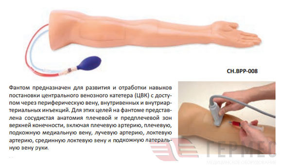 Фантом руки для катетеризации центральных вен, в/в инъекций и пункции артерий под контролем УЗ  CH.BPP-008