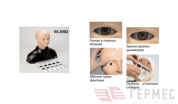 Фантом-симулятор ретинопатии KK.M82