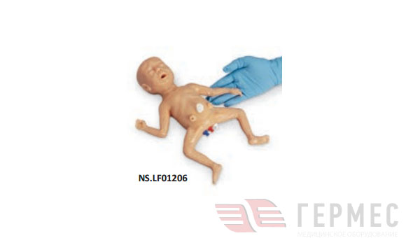 Преми, манекен недоношенного новорожденного NS.LF01206