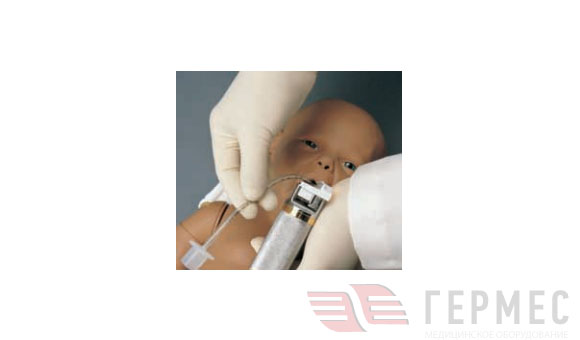 Универсальный тренажер  для проведения процедур на  верхних дыхательных путях у  новорожденного (PEDI®) 10445 