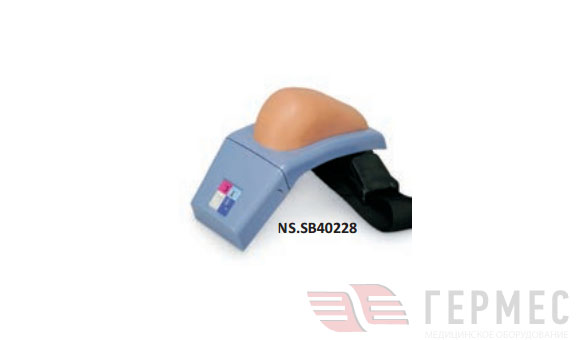 Фантом плеча для внутримышечных инъекций  NS.SB40228